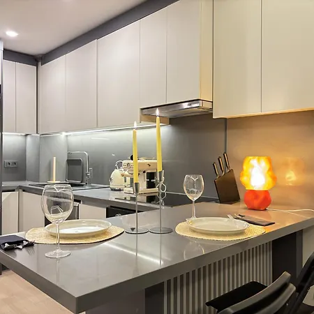 Stylish 2-br In Nisantasi Apartment Istanbul